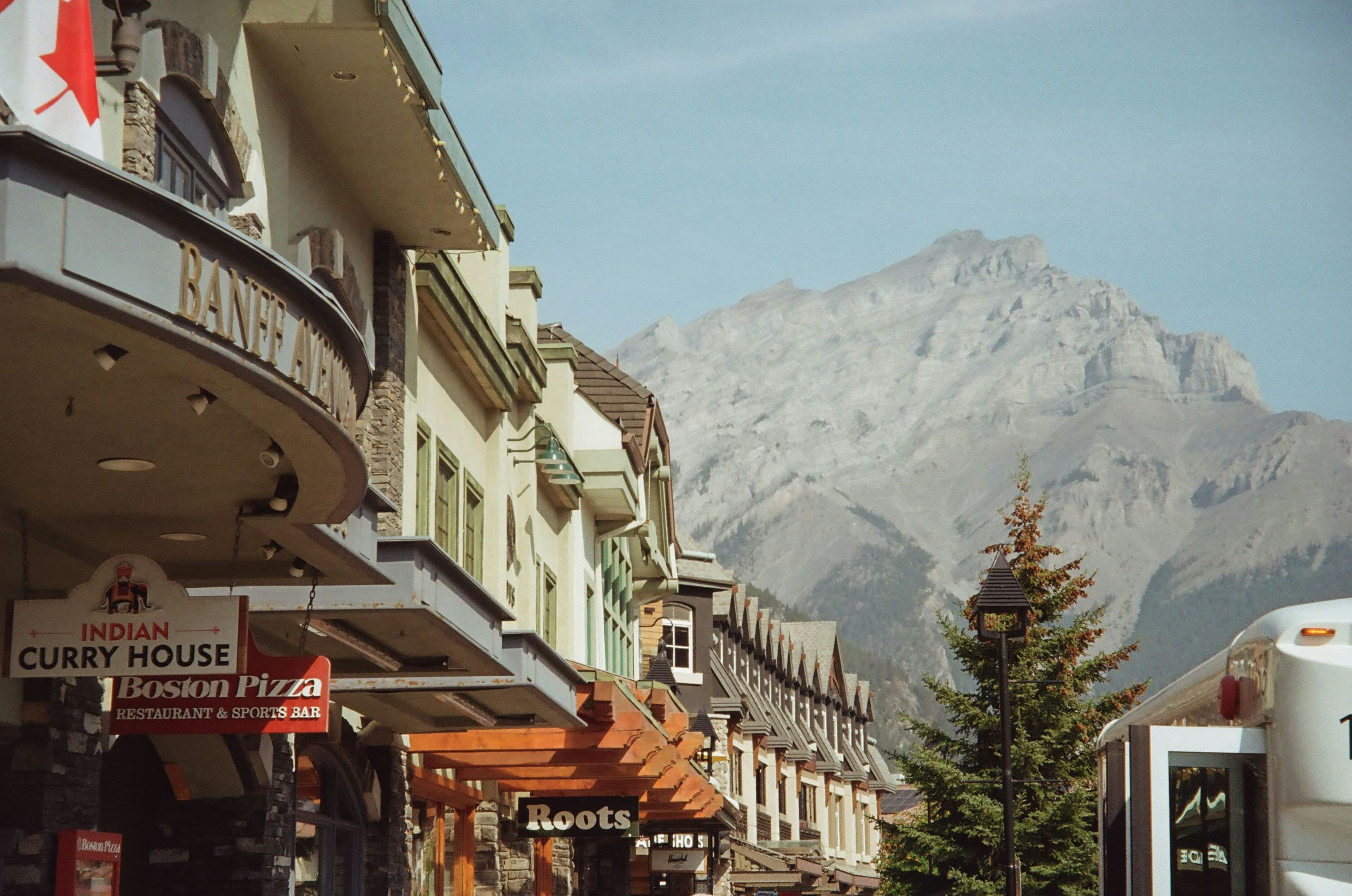 Forest Bathing Basics