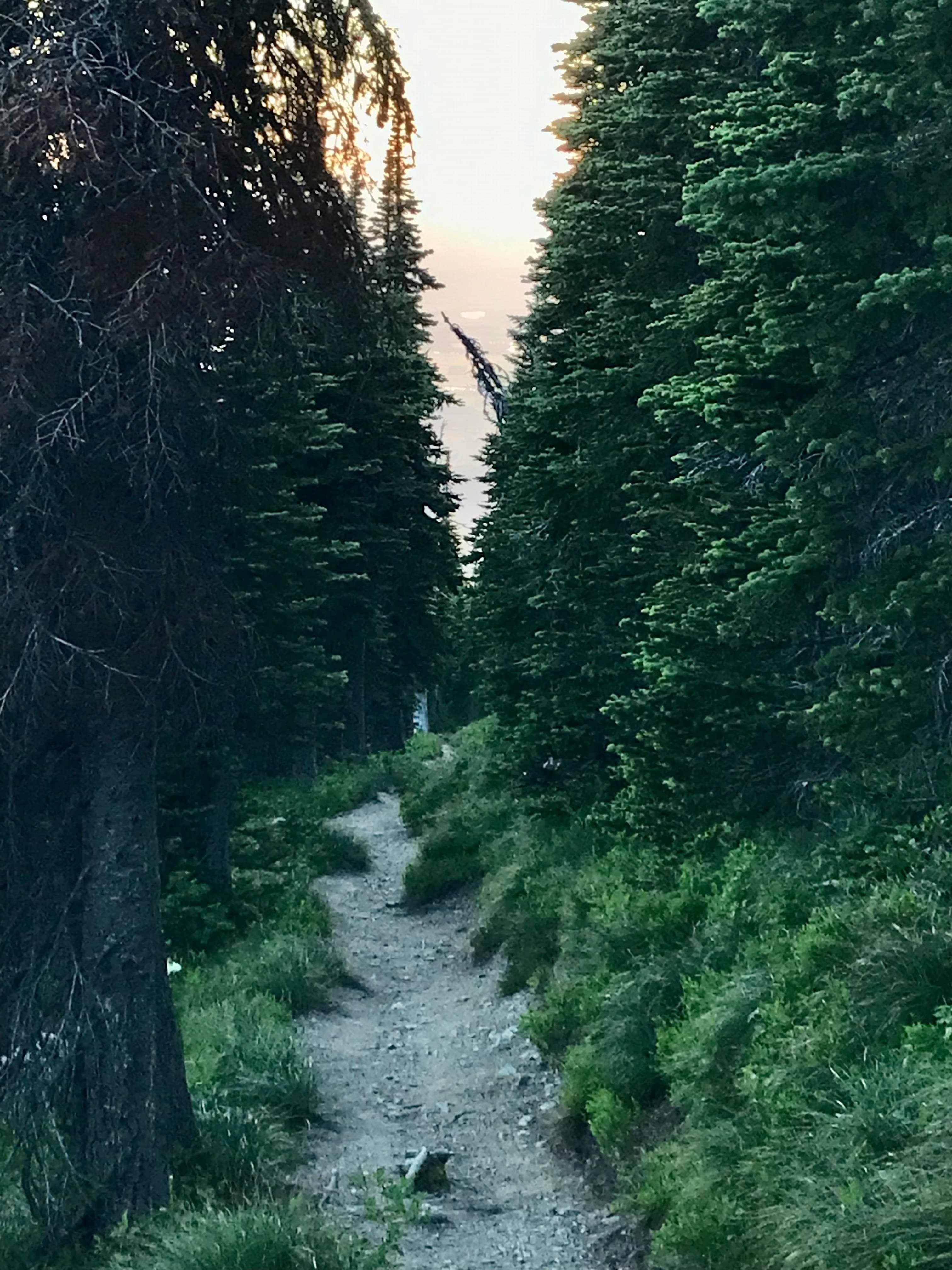 Minimalist Wardrobe Guide